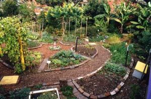 permakulturna zahrada